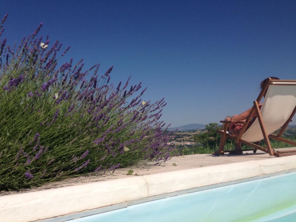 Agriturismo Il Fienile Di Ca Battista Cagli Dış mekan fotoğraf