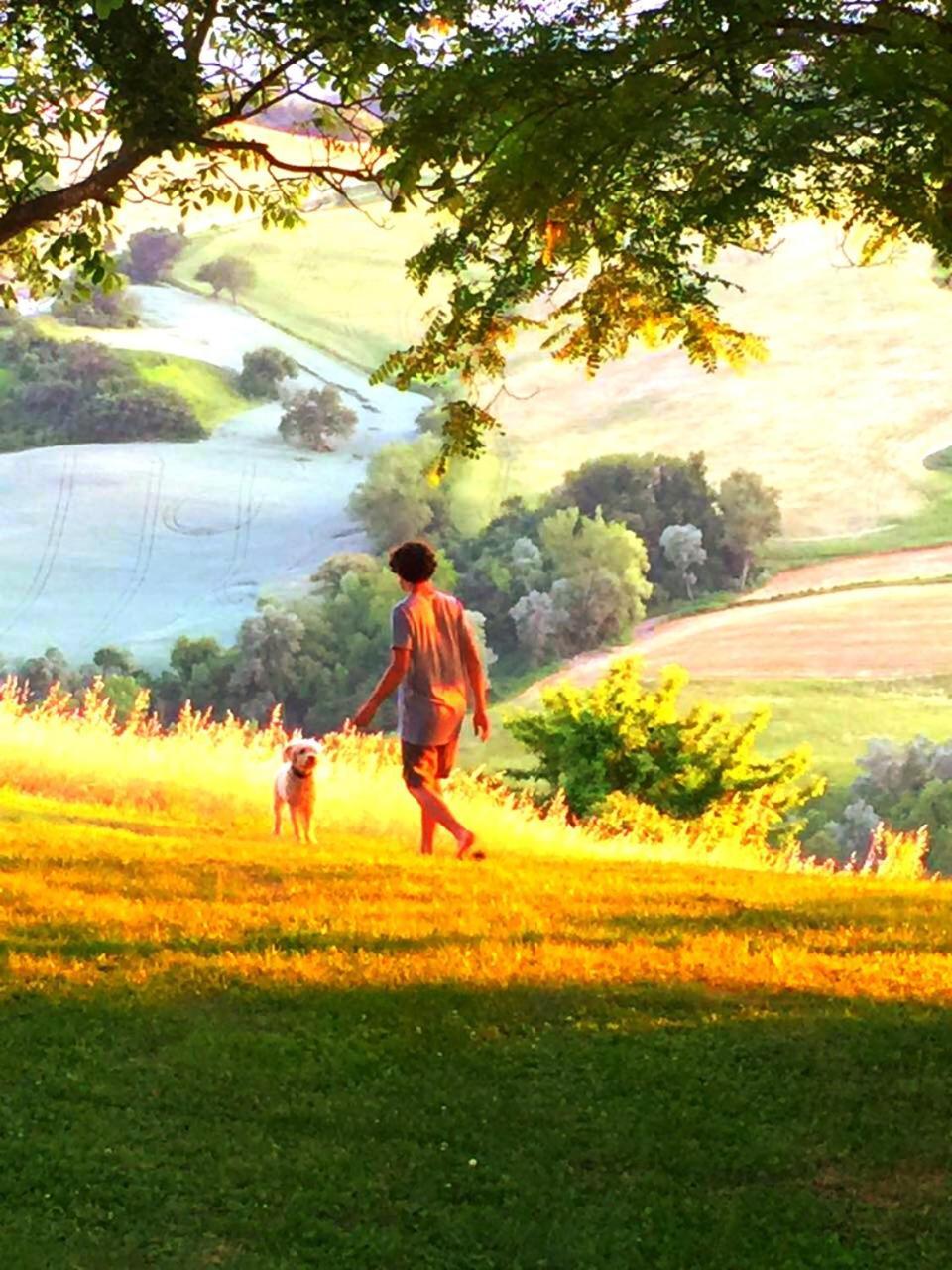 Agriturismo Il Fienile Di Ca Battista Cagli Dış mekan fotoğraf