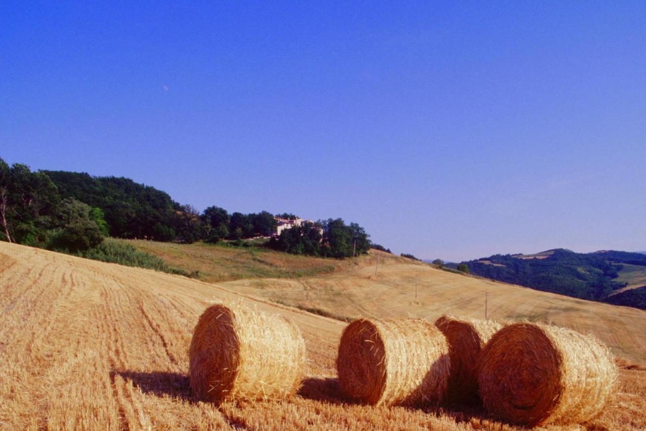 Agriturismo Il Fienile Di Ca Battista Cagli Dış mekan fotoğraf